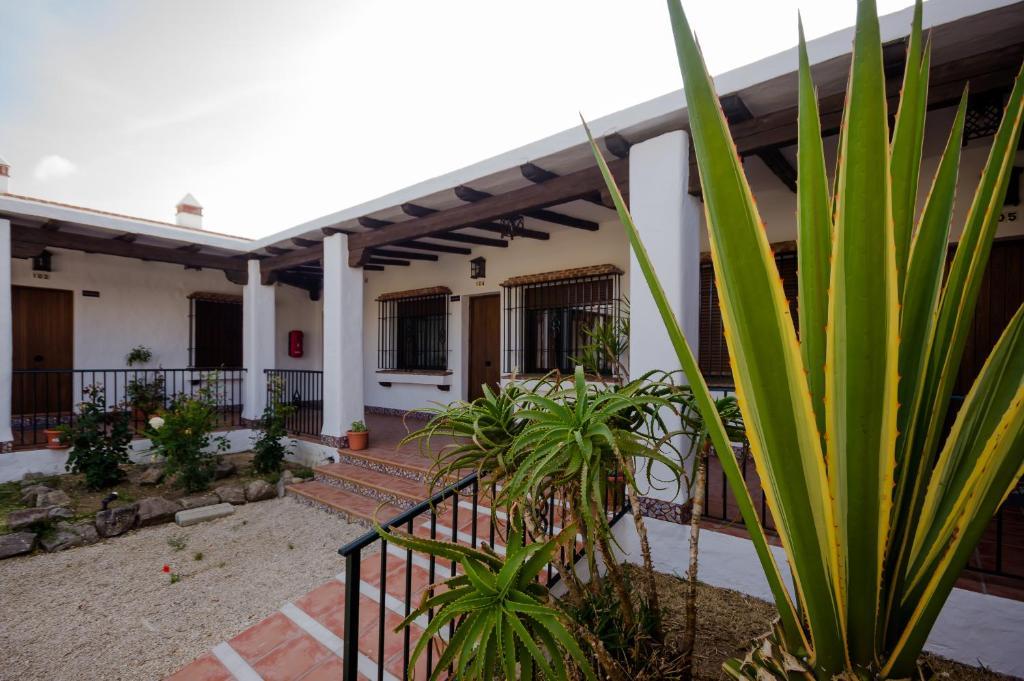 דירות קוניל דה לה פרונטרה Hacienda Puerto Conil מראה חיצוני תמונה